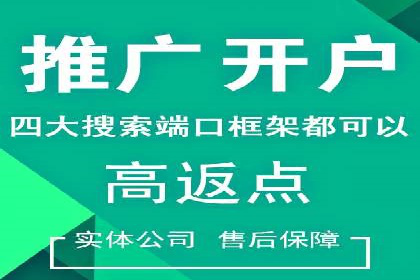 百度竞价推广公司案例揭秘：如何实现低成本高转化