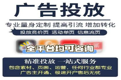 竞价SEM案例分享：行业霸主崛起之路